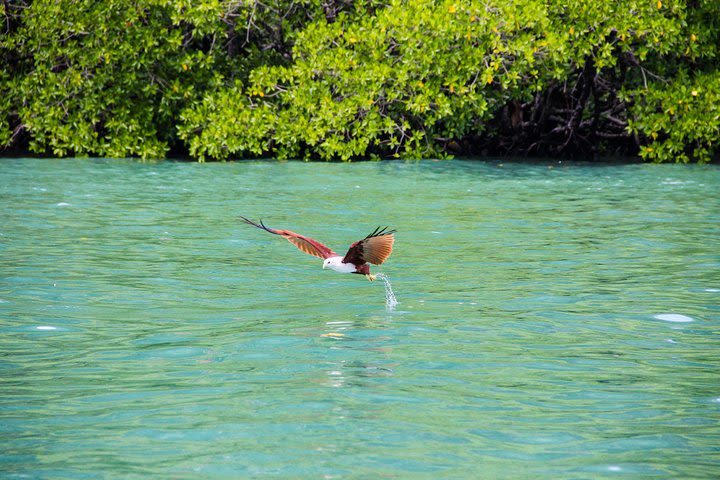 Langkawi Half Day Island Hoping Tour- Sharing basis image