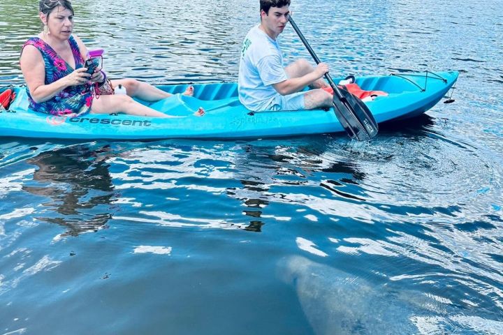 Cocoa Beach Dolphin & Manatee Kayak Adventure image