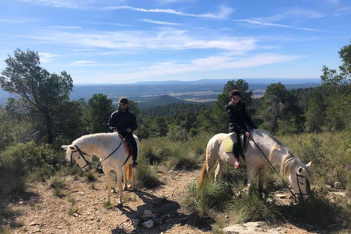 Horseback riding and wine tour image