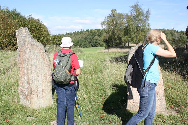 Private Half Day Tour: Viking History Trip from Stockholm Including Sigtuna image