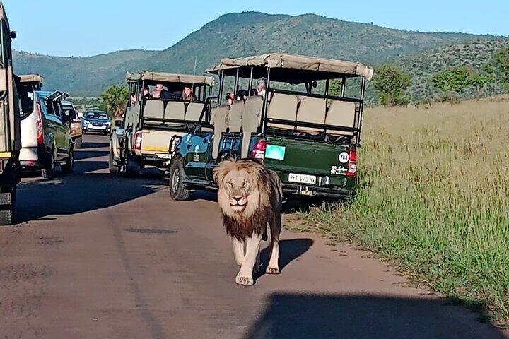 Kruger National Park Full-Day Safari image