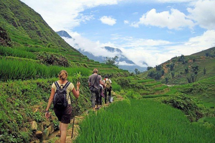 Full-Day Private Guided Hiking and Cultural Tour of Sapa image