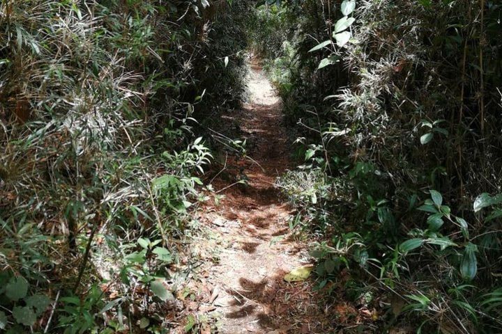 Waterfalls trekking  image