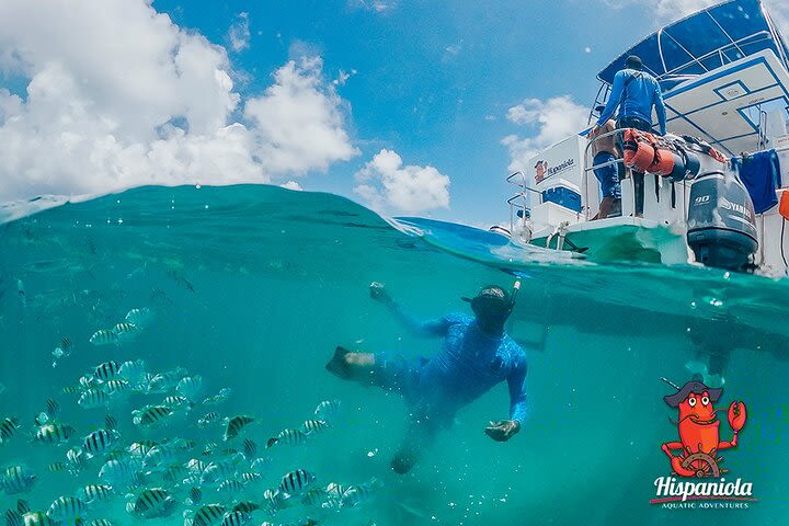 Private Catamaran Up To 10 Snorkeling & Deserted Beac Seafood lunch included image