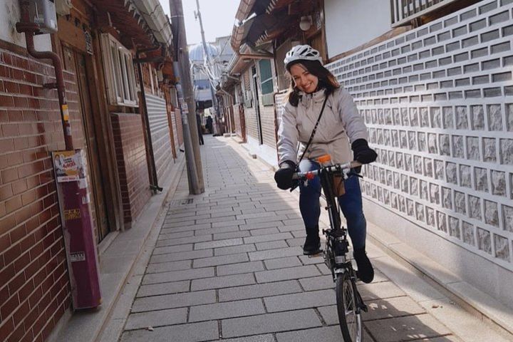 Seoul Morning E-bike Tour  image