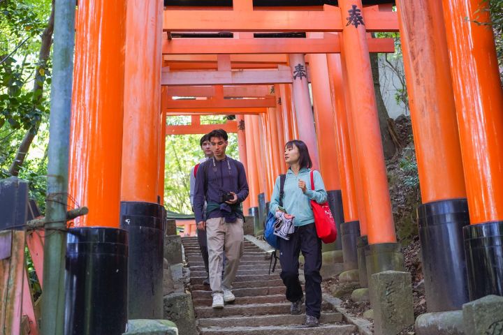 Kyoto and Nara Highlights Day Trip image