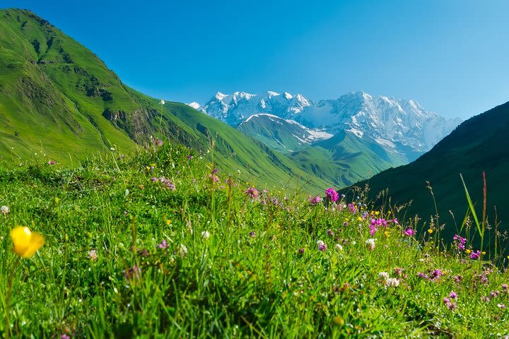 8-Day Guided Trekking Tour in Kazbegi image