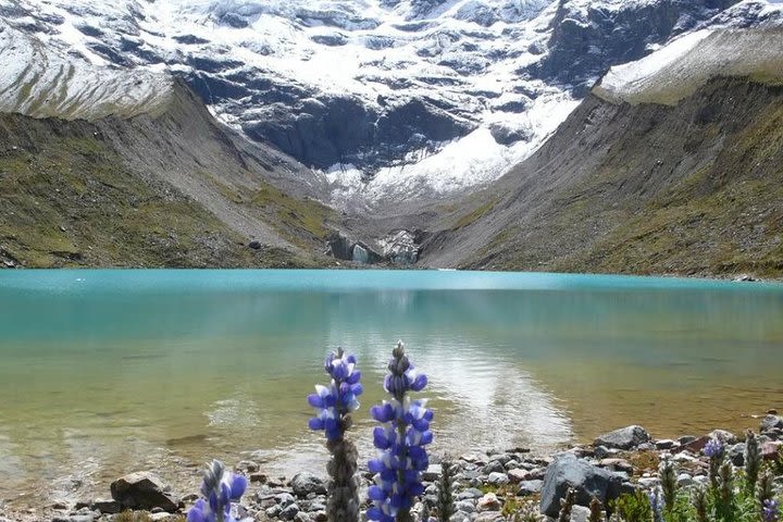 Humantay Lake Full Day Cusco image