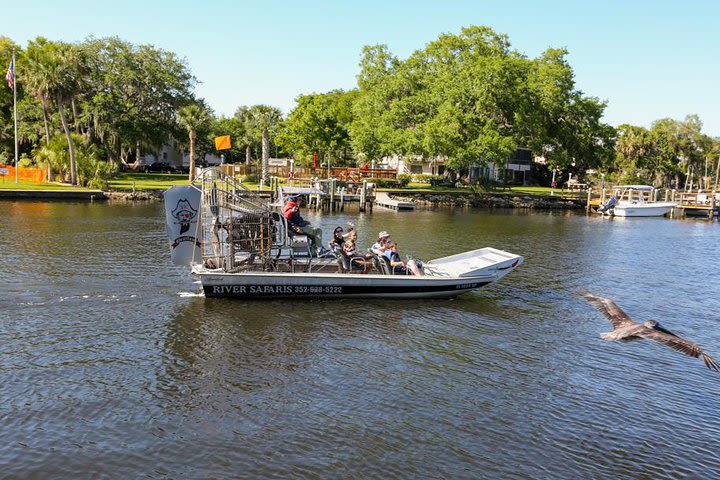 Spectacular Scenic Safari Airboat Adventure from Homosassa image