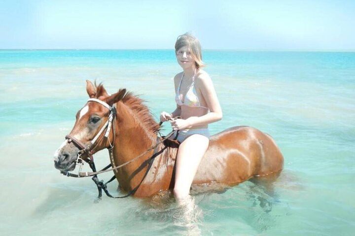 Two Hours adventure Horse Riding and Two Hours Relaxation Turkish bath- Hurghada image