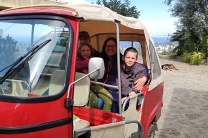 Private Food Tour on Sorrento Coast with Local Driver and Gnocchi Making image