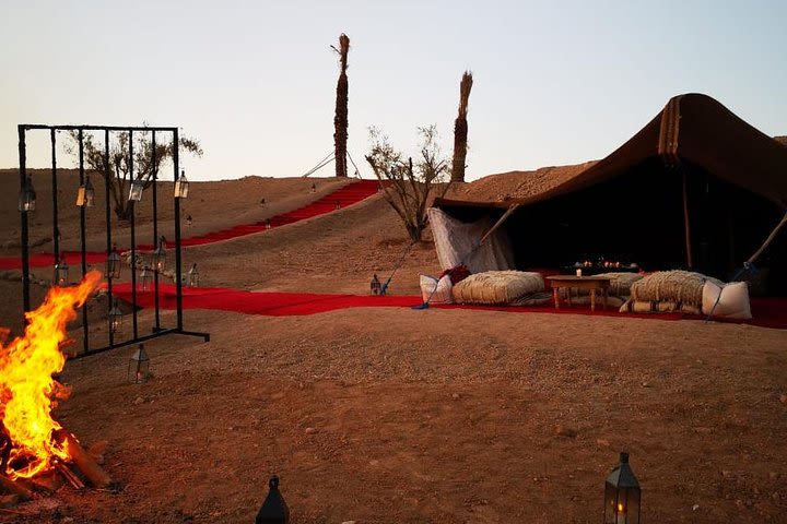 Camel ride and dinner Agafay desert image