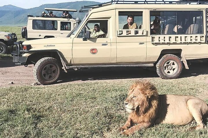 Jambo Jambo 3 Days Safari image