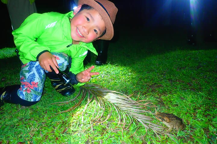 [Okinawa Ishigaki] Night Adventure Tour image