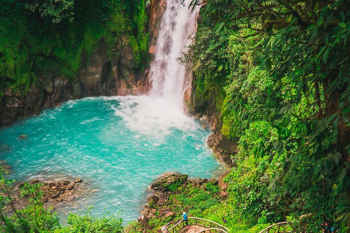 Walk in Río Celeste in Tenorio Volcano National Park image