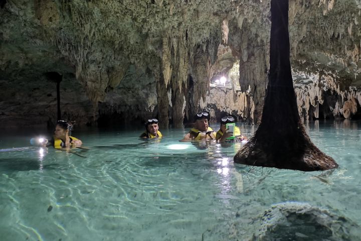 Private Cenote Underground River Exlporation image