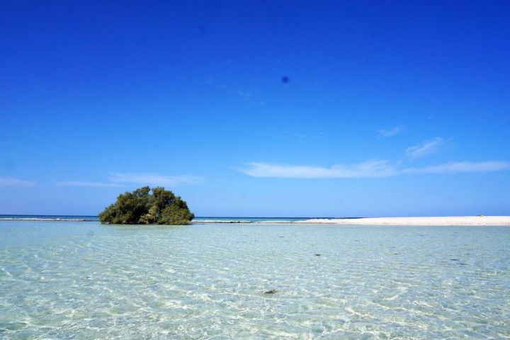 Hamata & Qulaan Islands Snorkeling Adventure image