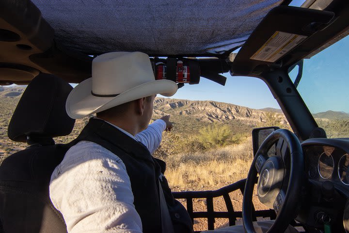 Sonoran Desert Jeep Tour  image