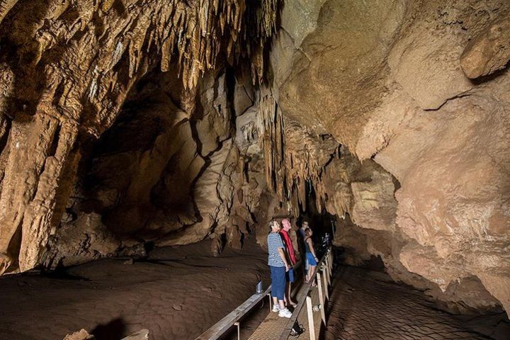 Cutta Cutta Caves Nature Park Guided Tours image