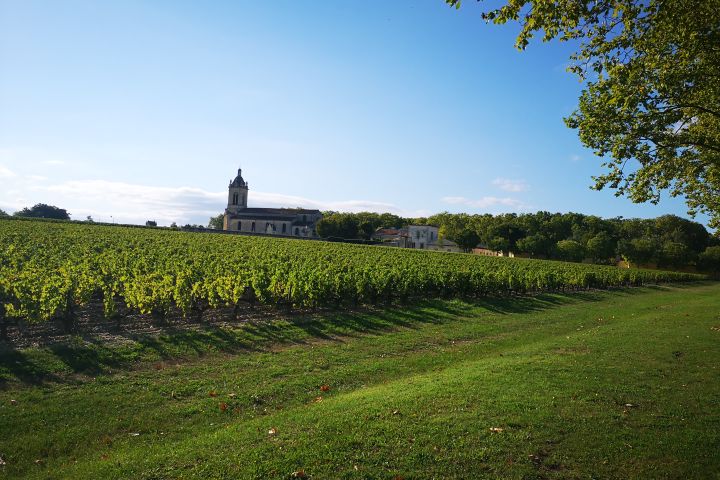 Medoc Wine Tour Half Day Trip From Bordeaux (shared) image