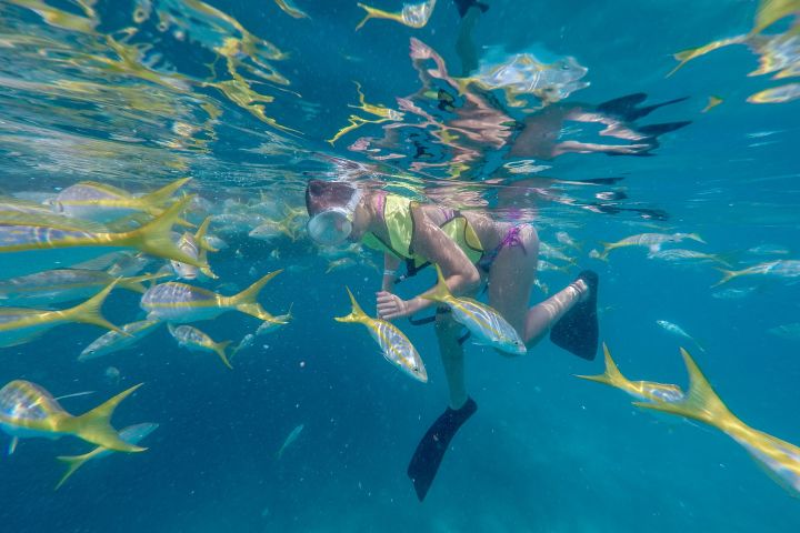 Key West Reef Snorkeling - Morning Excursion image