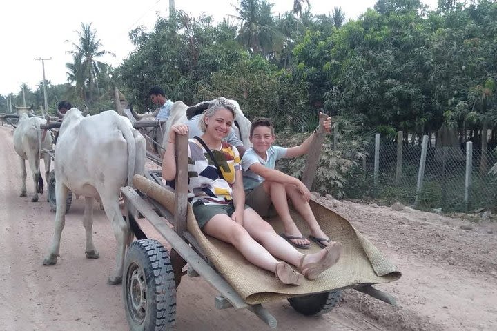 Ox Cart Ride of Rural Cambodia image