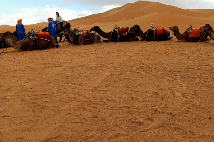 3 Days 2 Nights: Desert Tour from Fes to Marrakech image