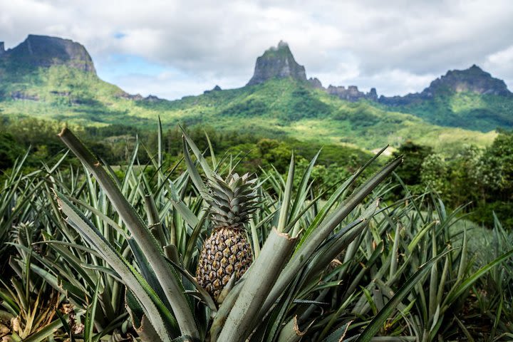 Private Morning Moorea 4WD Tour with Champagne image