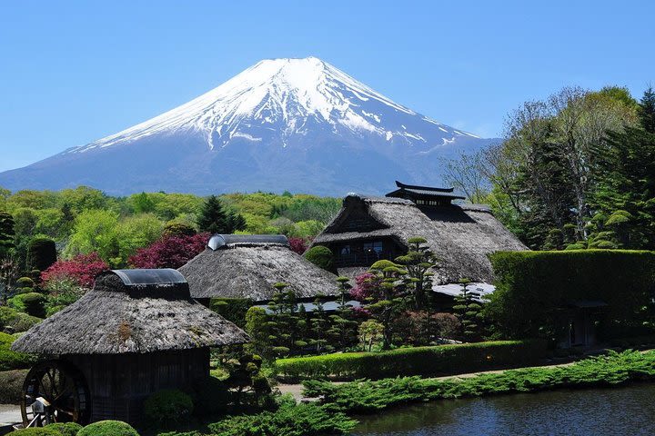 9-hour Mt. Fuji & Hakone Tour, with Private Car from Tokyo up-to Hakone Area image