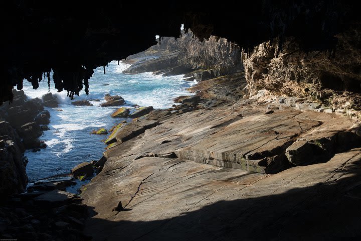 Kangaroo Island Luxury Small Group 'Flinders Chase Focus' Full Day Tour image