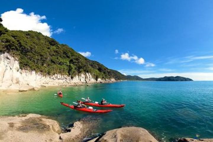 Oarsome Marine Reserve Kayak Tour image