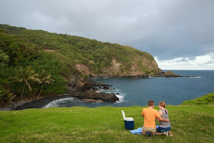 Road to Hana Tour image