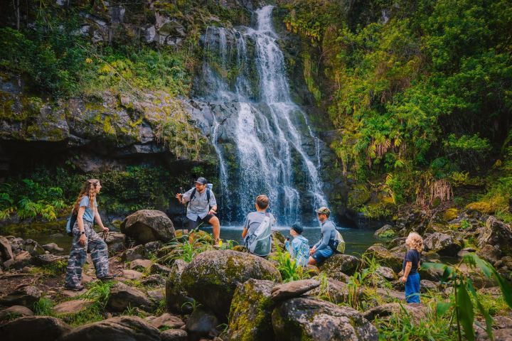 Private Kohala Waterfalls Adventure image
