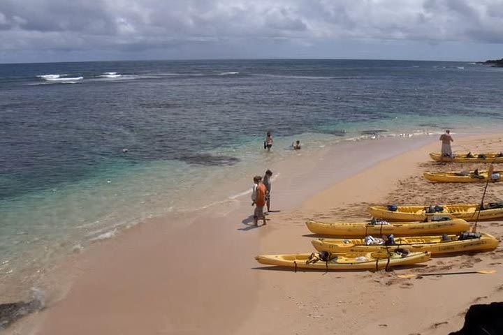 Hanalei River Paddle and Bay - Snorkel Tour image