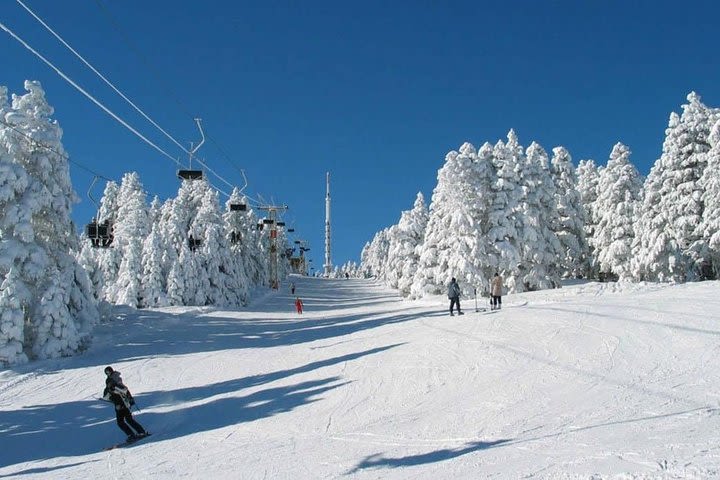 Transfer Tbilisi - Bakuriani/Borjomi image