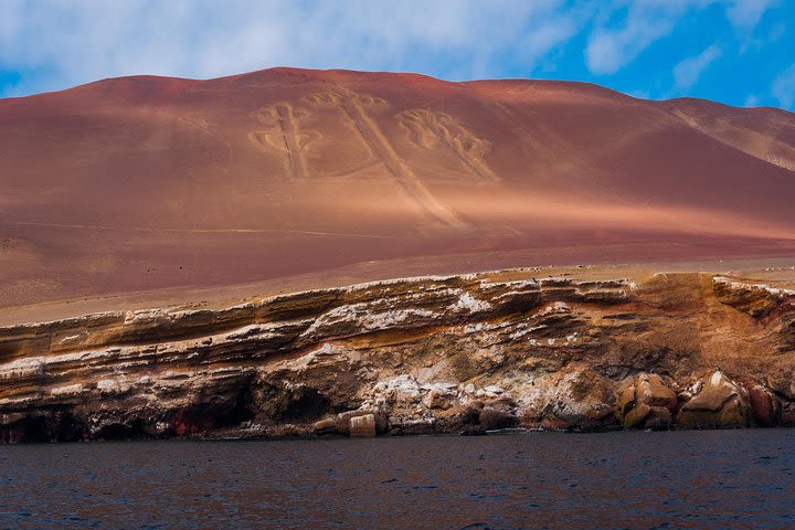 Ballestas Islands Private Group Tour image