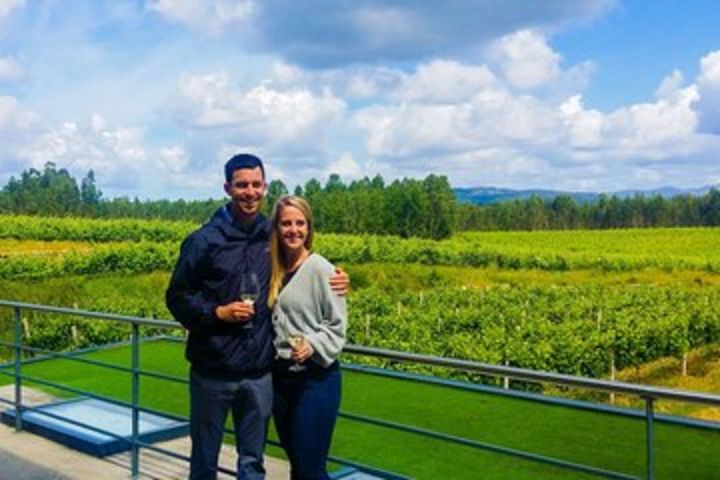 Private Vinho Verde Tour: Visit 2 Wineries with Wine Tastings & Lunch image