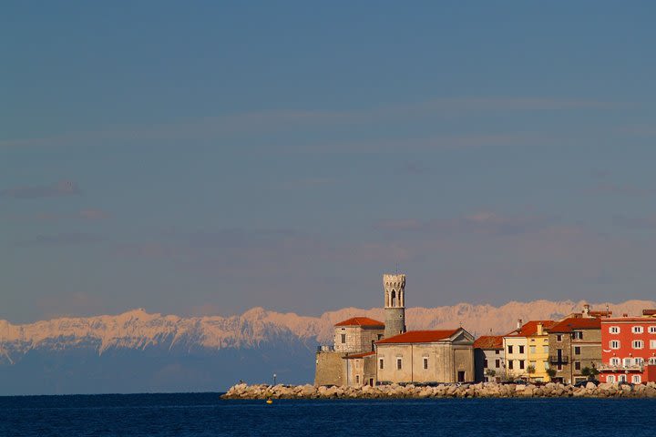 Piran & the Flavours of Slovenian Istria image