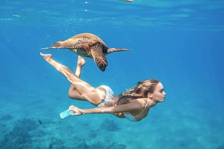 Full-Day Maui Snorkeling at Best Hidden Beaches Tour image