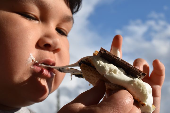 Alaskan Husky Summer Adventure image