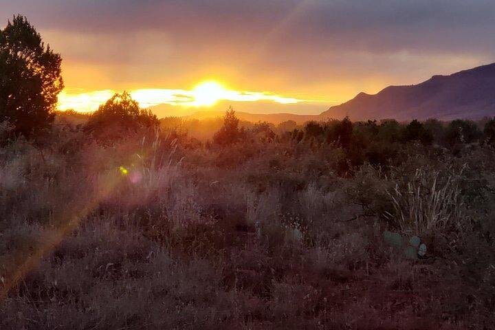 Sedona Sunrise Wildlife Safari image