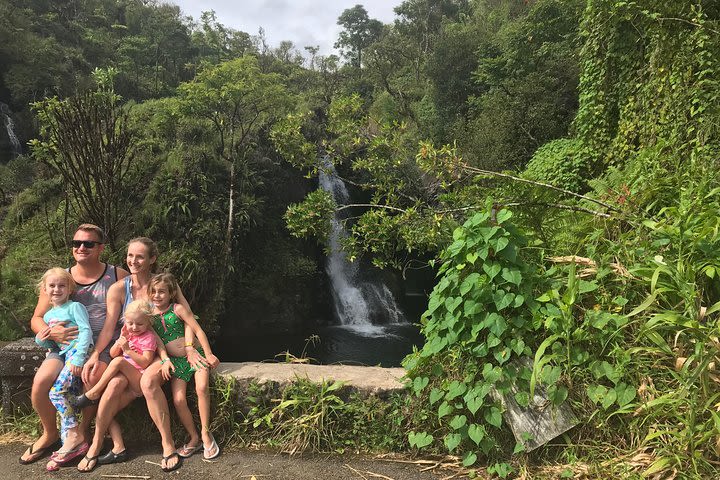 Private Hana Waterfalls Tour image