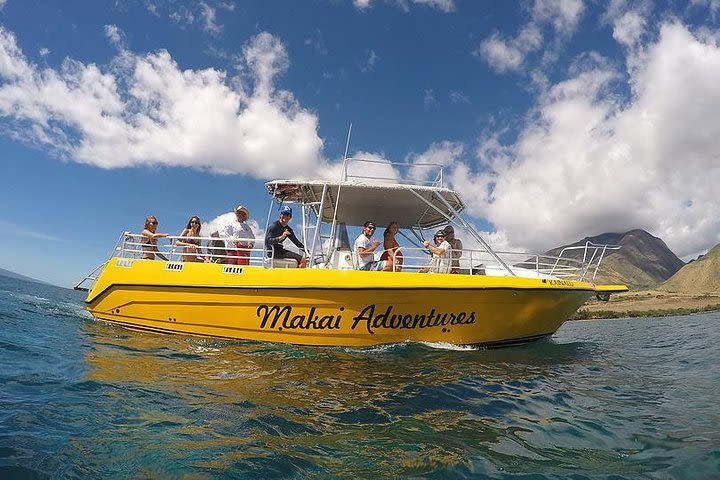 4-Hour Light Tackle Bottom Fishing from Lahaina Harbor image