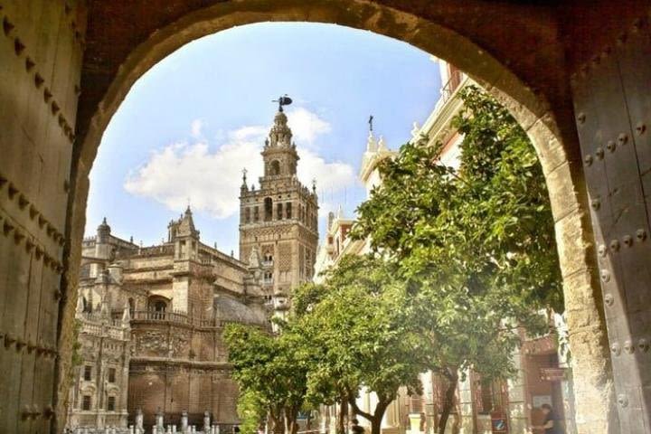 Seville Private Tour: Alcazar, Cathedral, Giralda and Santa Cruz walking tour. image