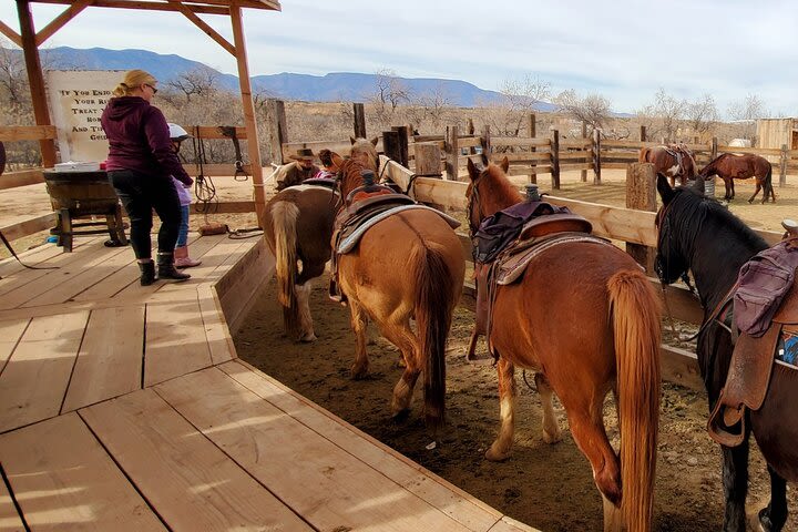 One-Hour Jeep Tour Plus Horseback Ride and Lunch in Camp Verde image