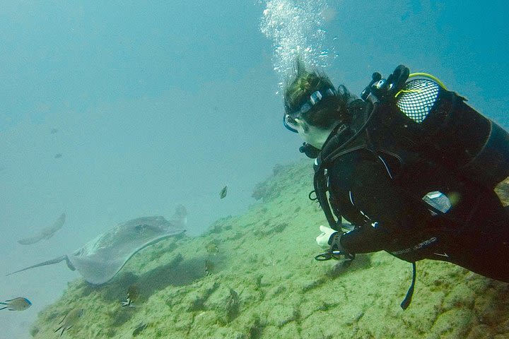 TRY SCUBA DIVING with a Dedicated Instructor image