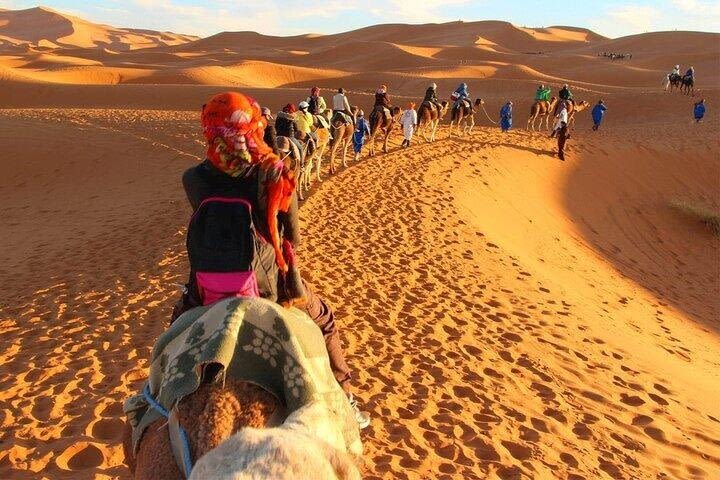 Agadir Camel Riding Adventure image