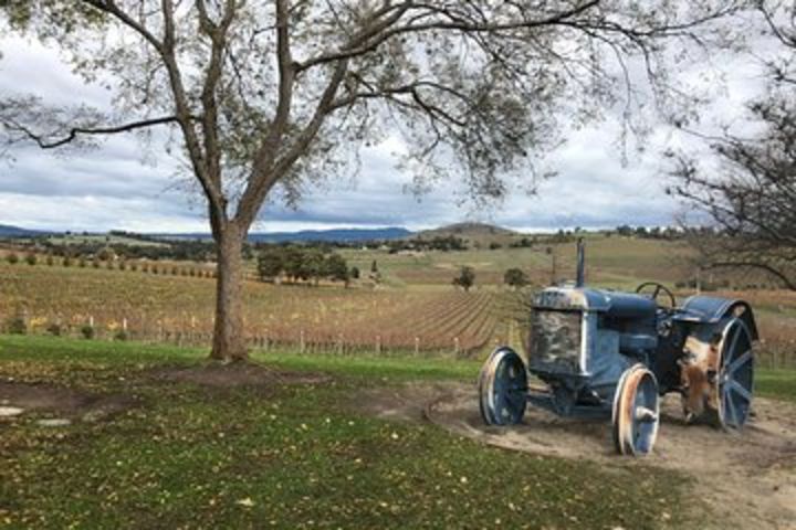 Private Wine Tours from Melbourne to Yarra Valley or Mornington Peninsula image