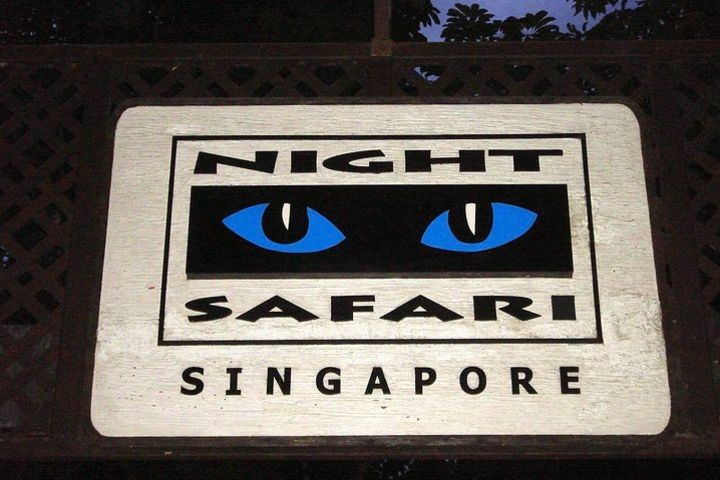 Skip-the-Line: Priority Tram Boarding at Night Safari with Buffet Dinner image