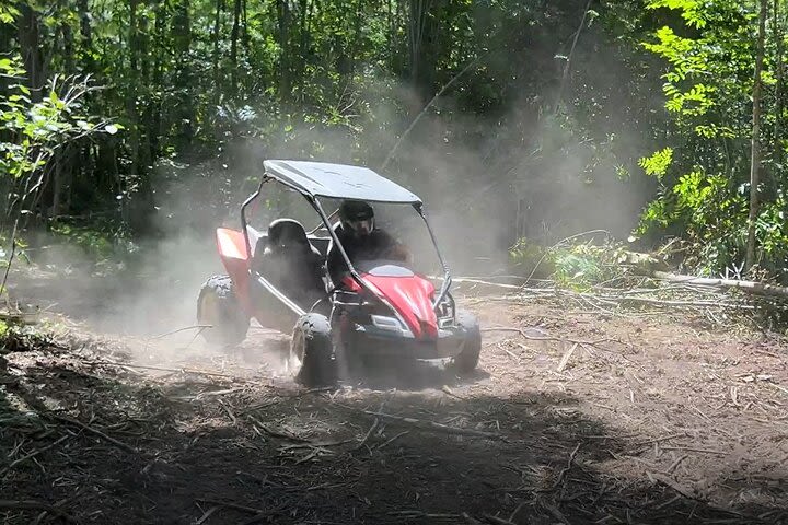 Duluth: Moose Lake: Triple Cross Dune Buggy Adventure image